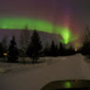 Meet your Posher, Melanie